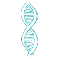 DNA icon